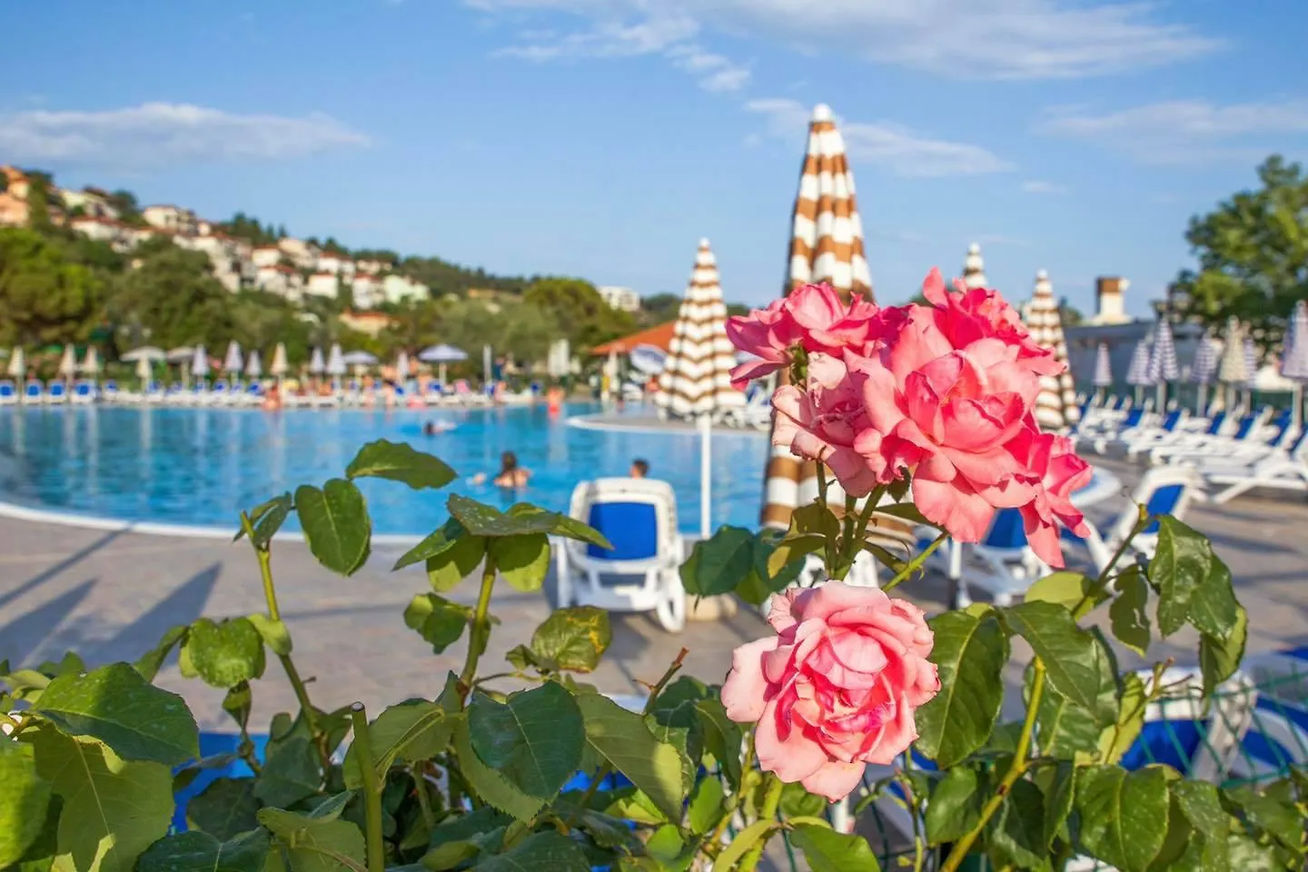 Maslinica Hedera Hotel Rabac 4*,  Croatie